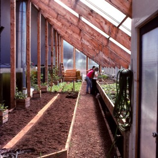 planting crops in the greenhouse