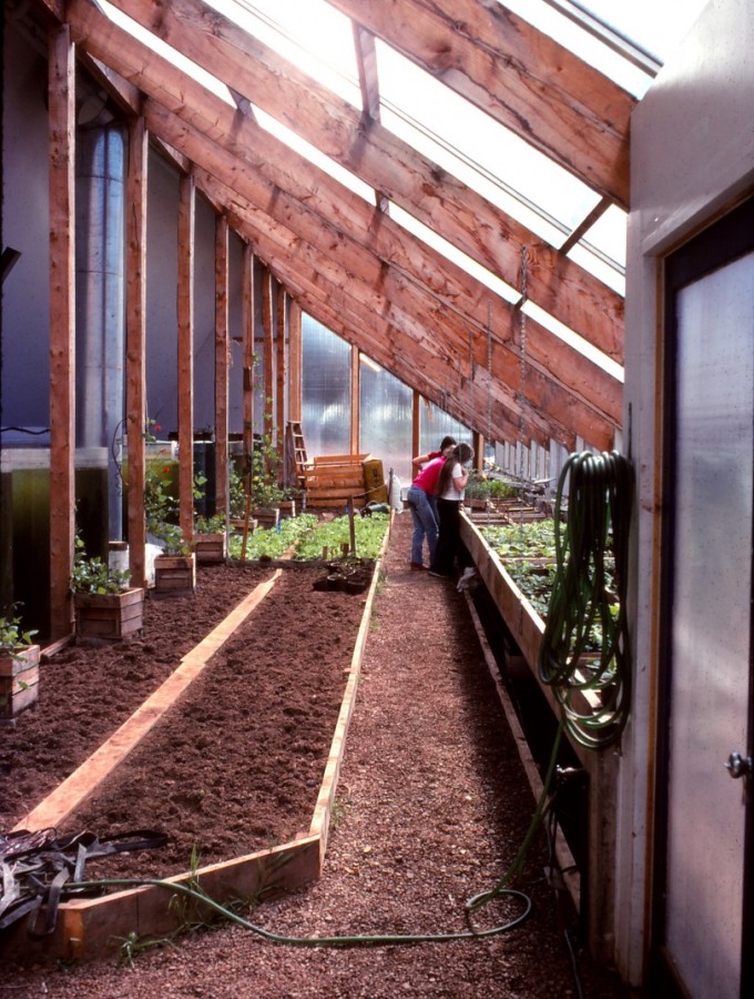 planting crops in the greenhouse